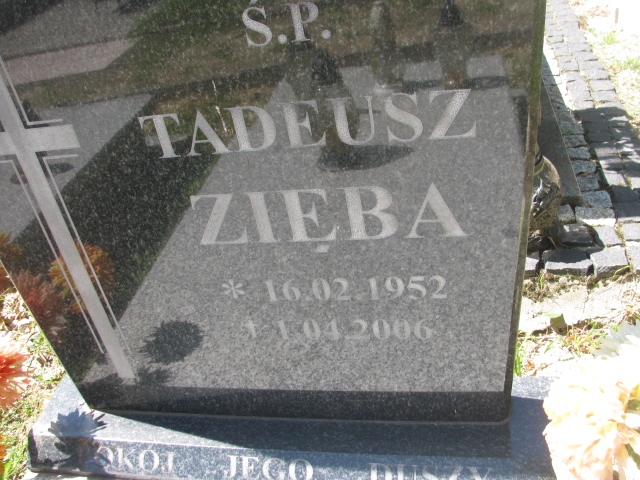 Tadeusz Zięba 1952 Trzebnica - Grobonet - Wyszukiwarka osób pochowanych