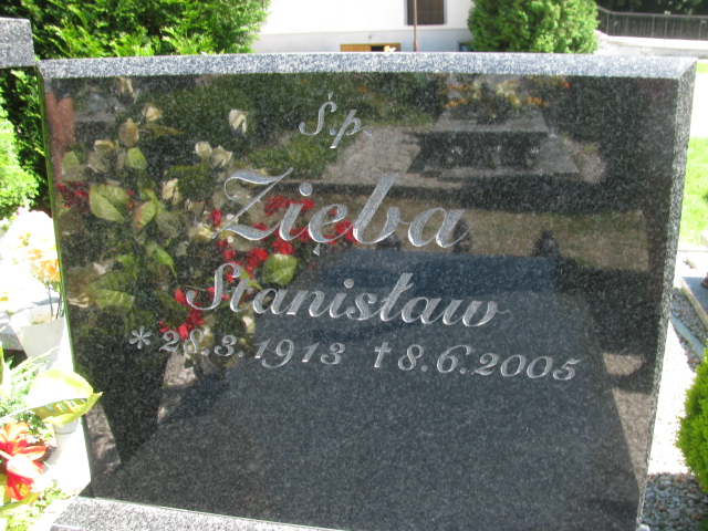 Berta Zięba  1948 Trzebnica - Grobonet - Wyszukiwarka osób pochowanych