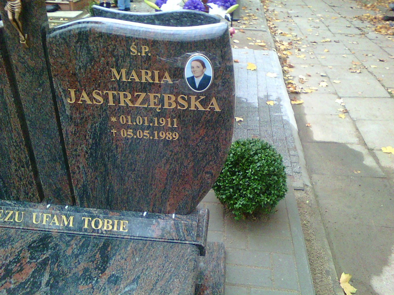 Grób Adam Kasperek