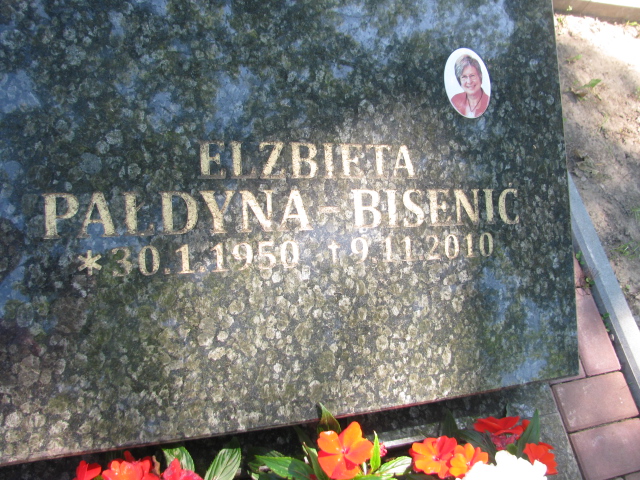 ELŻBIETA MAGDALENA Pałdyna Bisenić 1950 Trzebnica - Grobonet - Wyszukiwarka osób pochowanych