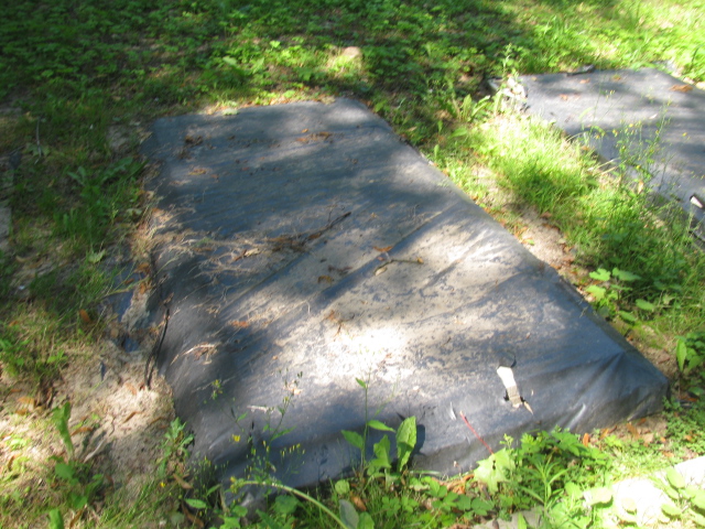 Grób Jan Paluchniak