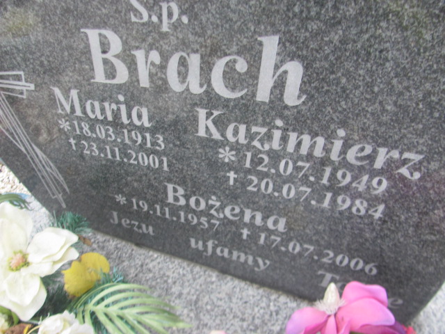 Grób Kazimierz Brach
