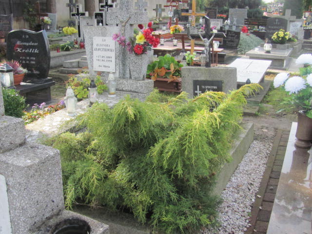 Grób Franciszka Orzechowska