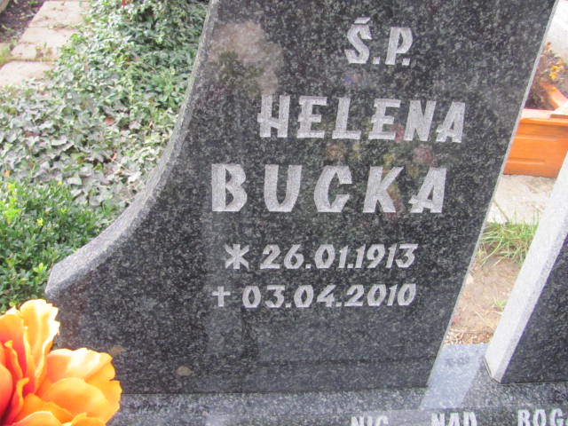 Robert Bucki  1942 Trzebnica - Grobonet - Wyszukiwarka osób pochowanych