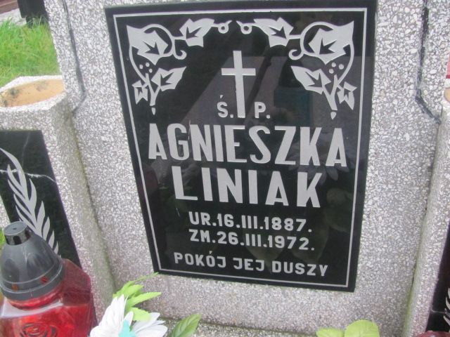 Agnieszka Liniak 1887 Trzebnica - Grobonet - Wyszukiwarka osób pochowanych