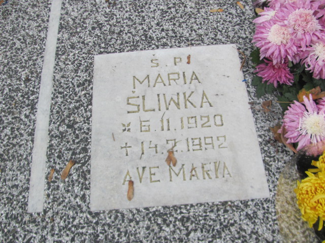 Danuta Śliwka 1956 Trzebnica - Grobonet - Wyszukiwarka osób pochowanych