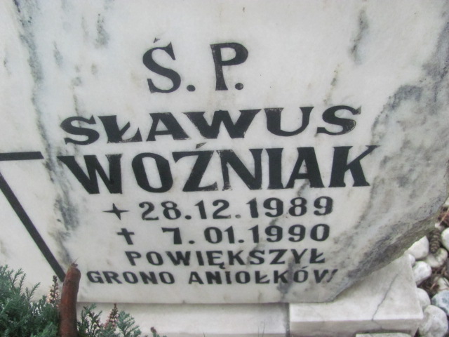 Sławomir Woźniak 1989 Trzebnica - Grobonet - Wyszukiwarka osób pochowanych