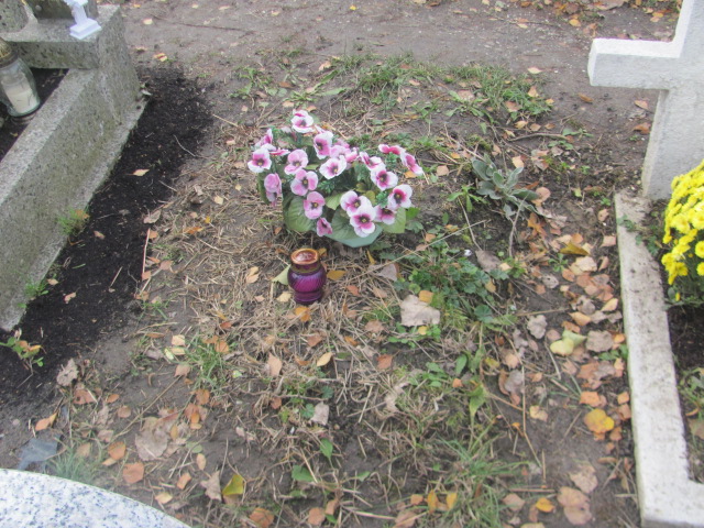  NN Trzebnica - Grobonet - Wyszukiwarka osób pochowanych