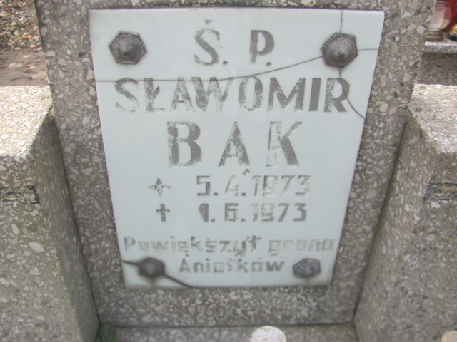 Sławomir Bąk 1973 Trzebnica - Grobonet - Wyszukiwarka osób pochowanych