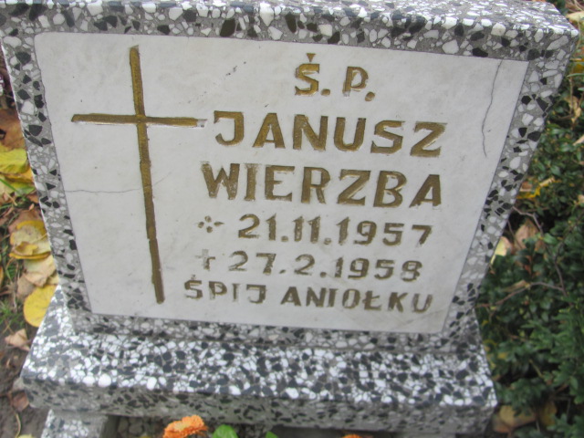 Janusz Wierzba 1957 Trzebnica - Grobonet - Wyszukiwarka osób pochowanych