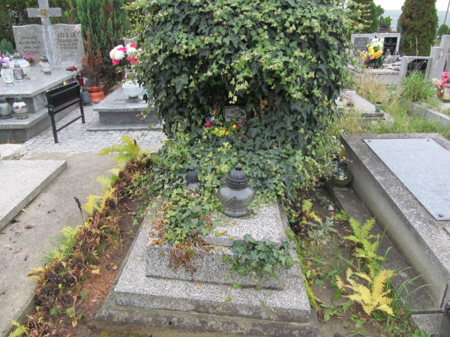 Grób Emilia Wodniak