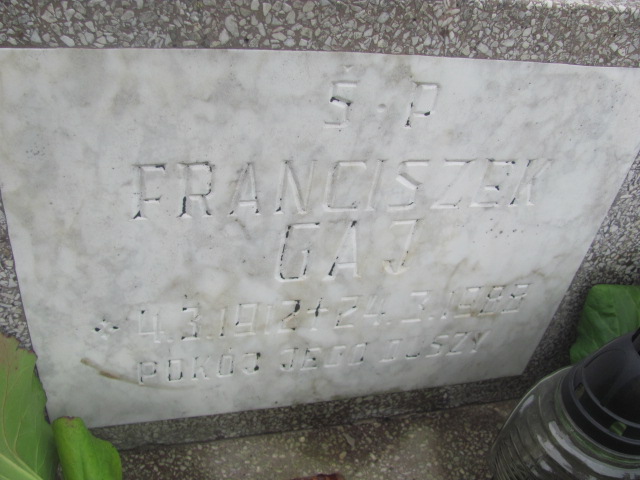 Grób Franciszek Gaj